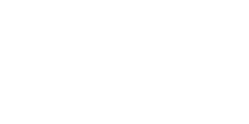 SLM